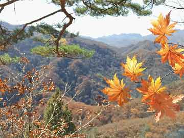 户外睡袋内胆_户外 睡袋